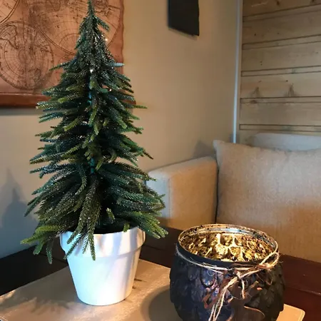 Solli Ferieleilighet Apartman *